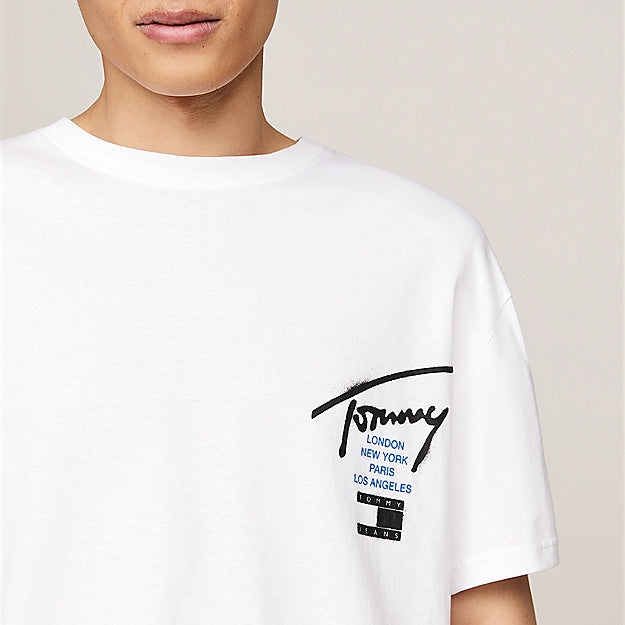 DM0DM18529YBR - Maglieria - Tommy Hilfiger