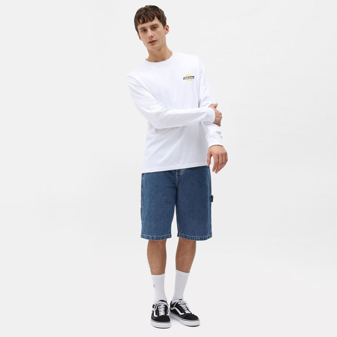 DK0A4XCK - Pantaloncini - Dickies