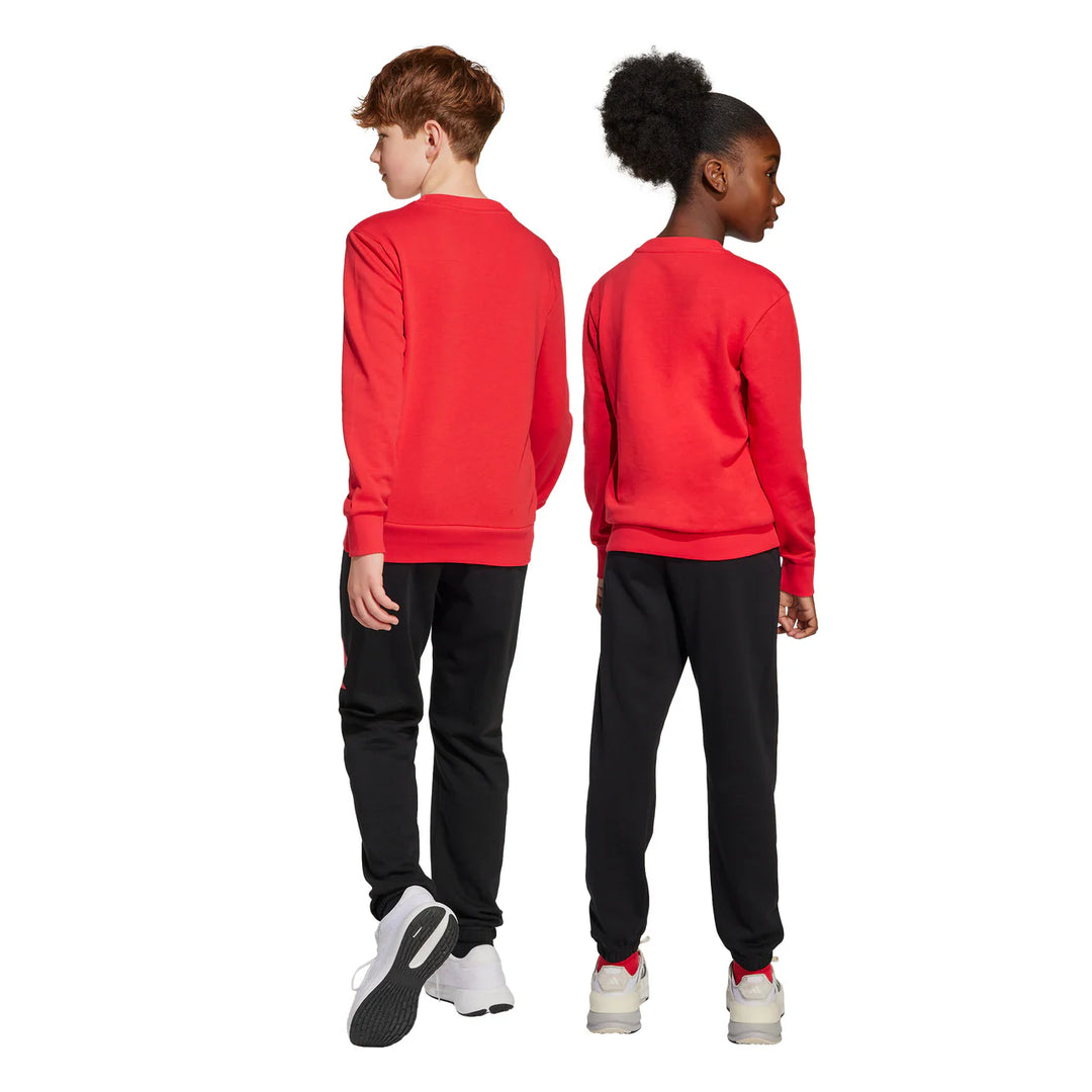 JD2099 - Tute - Adidas