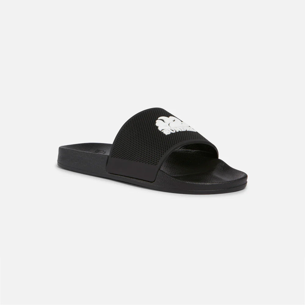 AM465ASPV100 -  - Sundek