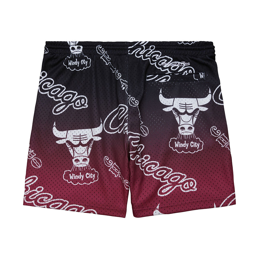 PSHR6792-CBUYYPPPBROW - Pantaloncini - Mitchell & Ness
