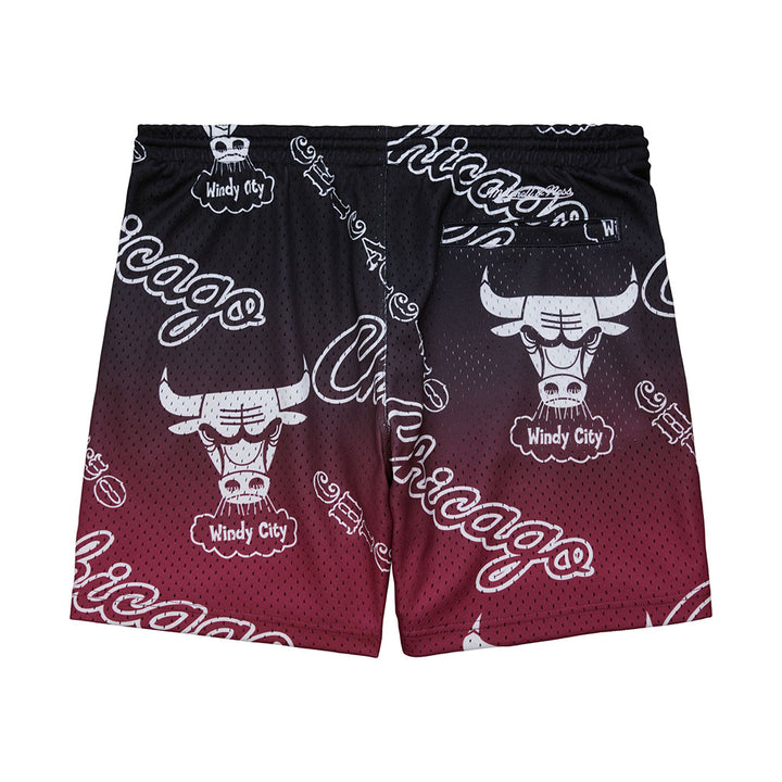 PSHR6792-CBUYYPPPBROW - Pantaloncini - Mitchell & Ness