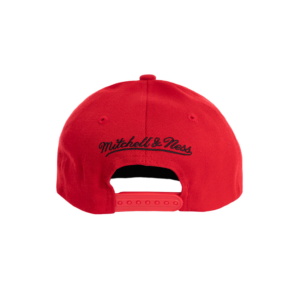 HHSS3265-CBUYYPPPRDBK - Hats - Mitchell & Ness