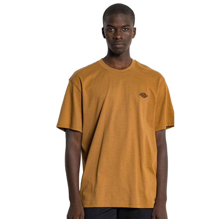 DK0A4YAI - T-Shirt e Polo - Dickies