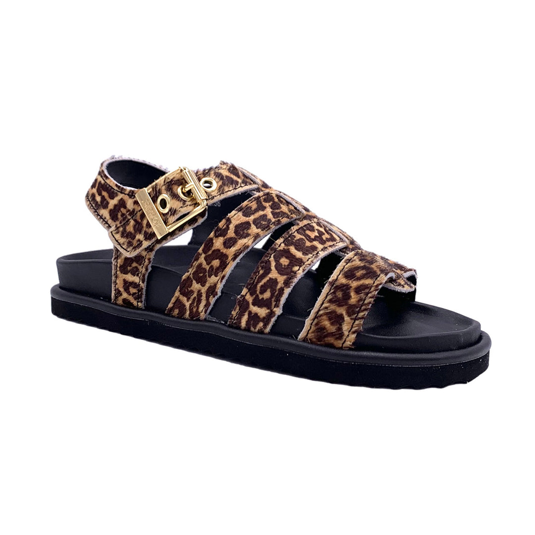 HC.BIOW605 - Ciabatta - Colors Of California