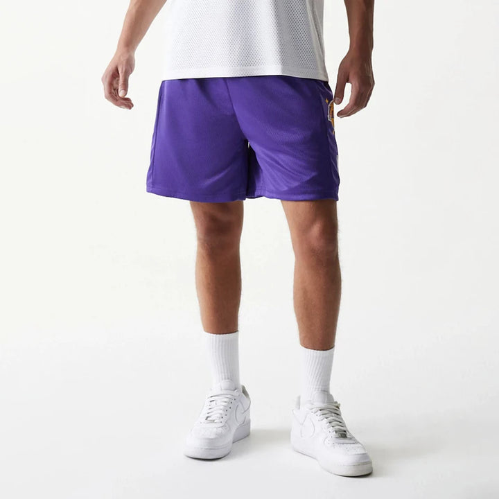 PANTALONCINI NIKE NBA SWINGMAN LOS ANGELES LAKERS ICON EDITION VIOLA 60771596