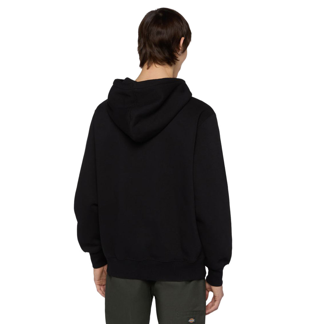 DK0A4Y6P - Felpe - Dickies