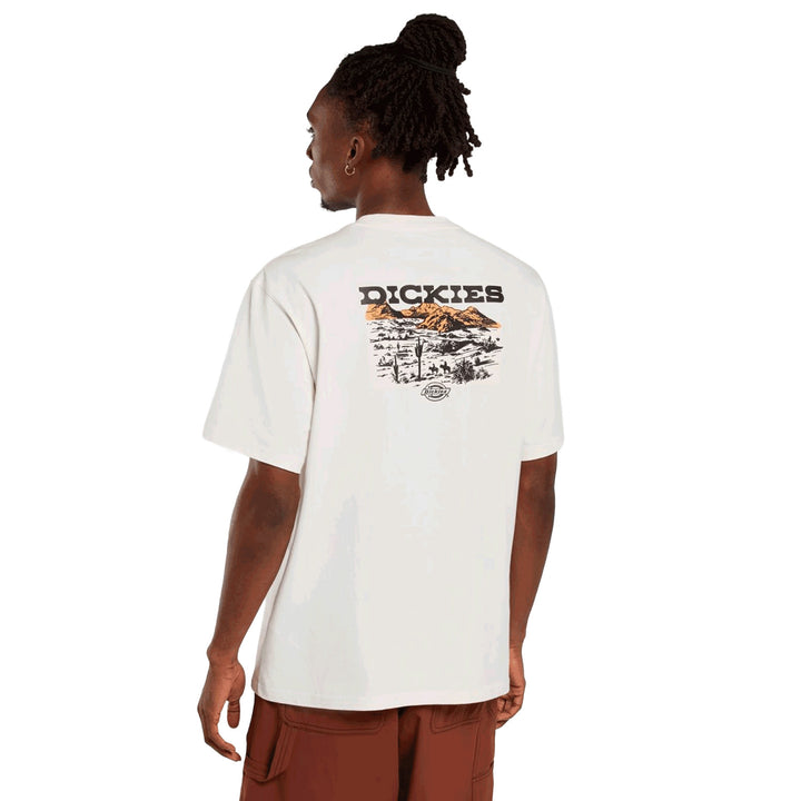 DK0A4Z8V - T-Shirt e Polo - Dickies