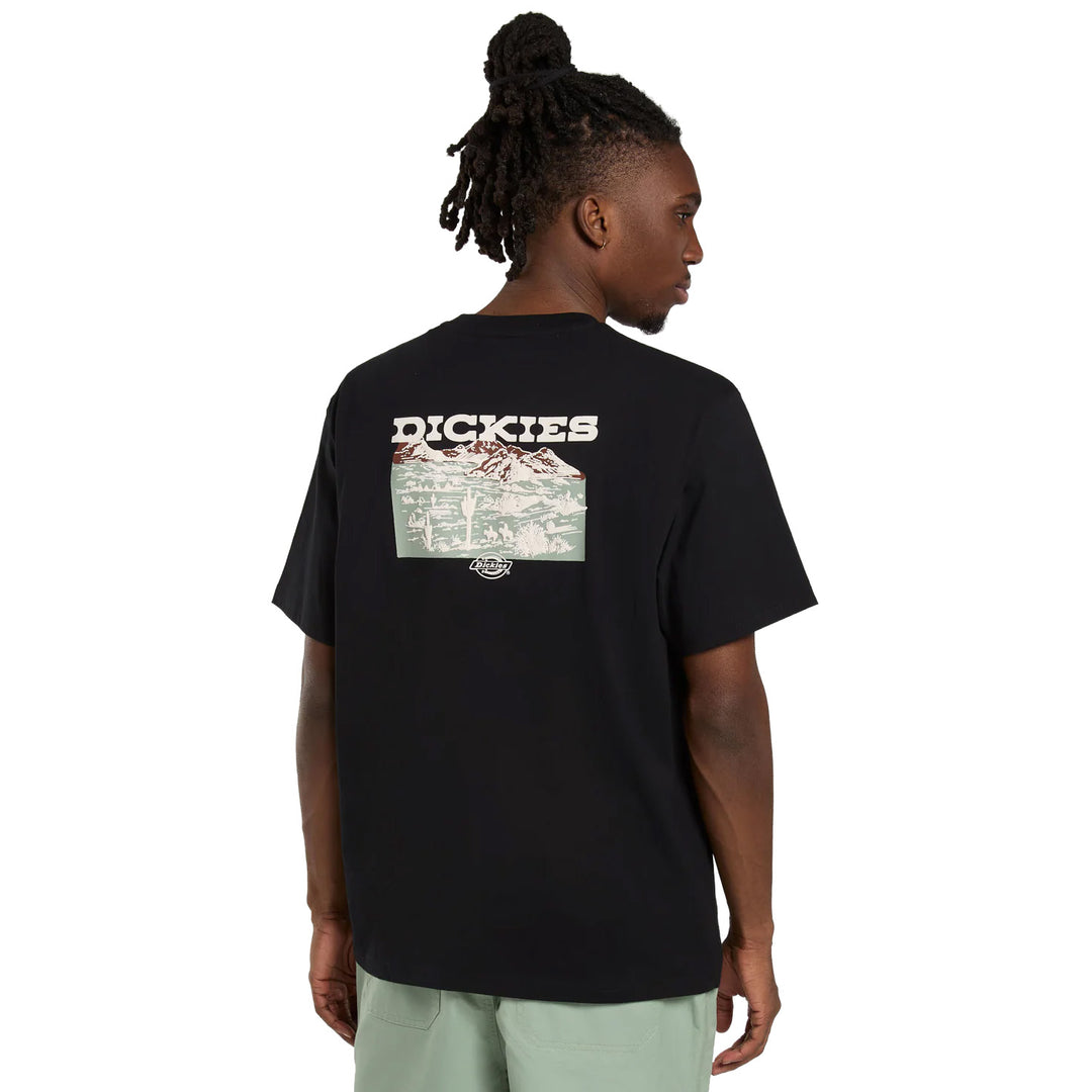 DK0A4Z8V - T-Shirt e Polo - Dickies