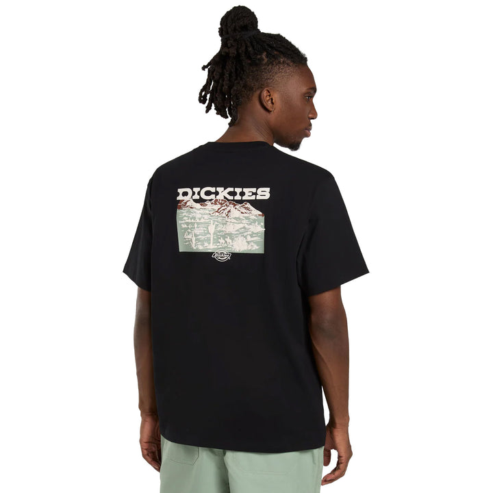 DK0A4Z8V - T-Shirt e Polo - Dickies