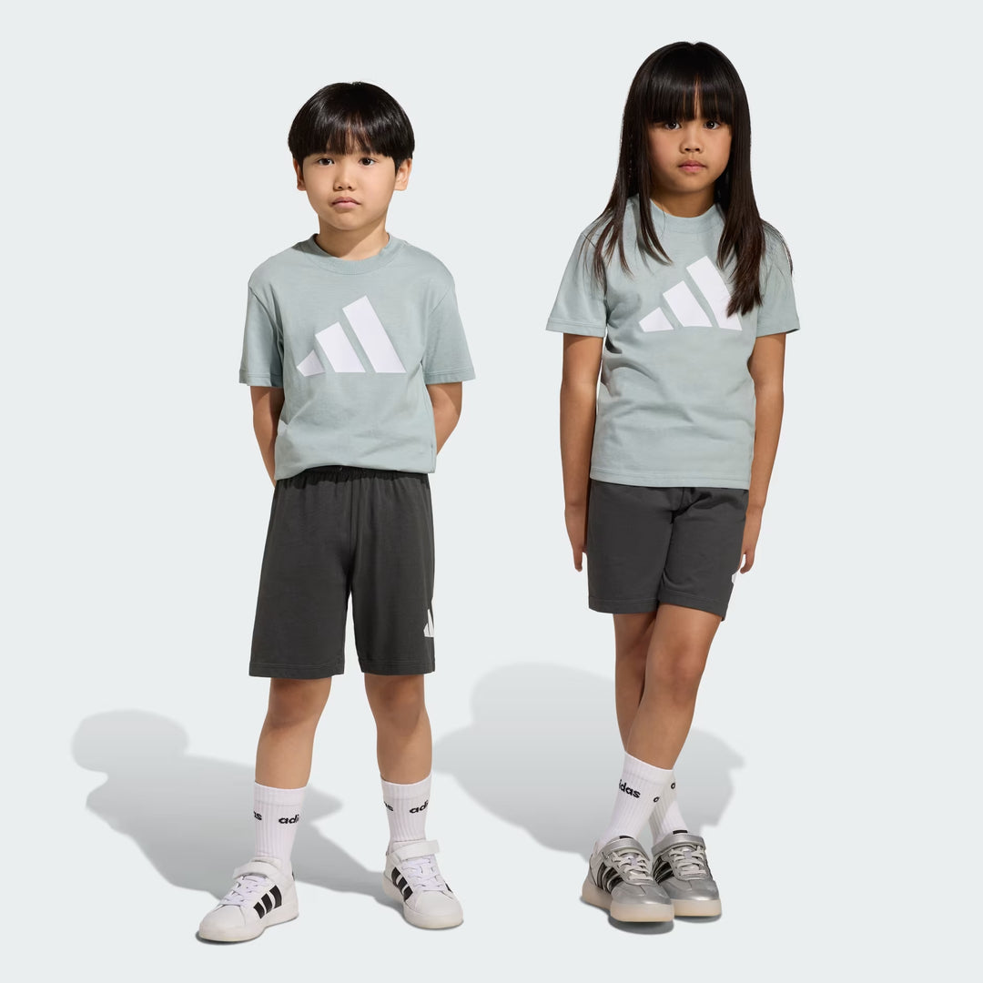 COMPLETINO ADIDAS ESSENTIALS LOGO TEE & SHORTS GRIGIO