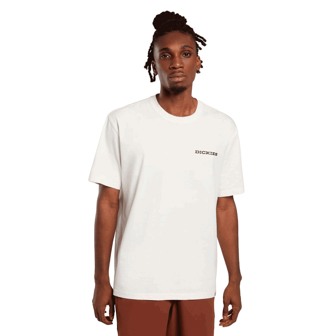 DK0A4Z8V - T-Shirt e Polo - Dickies