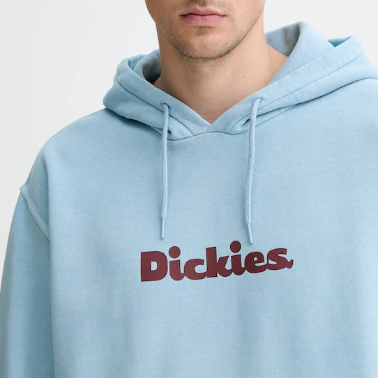 DK0A87NP - Felpe - Dickies