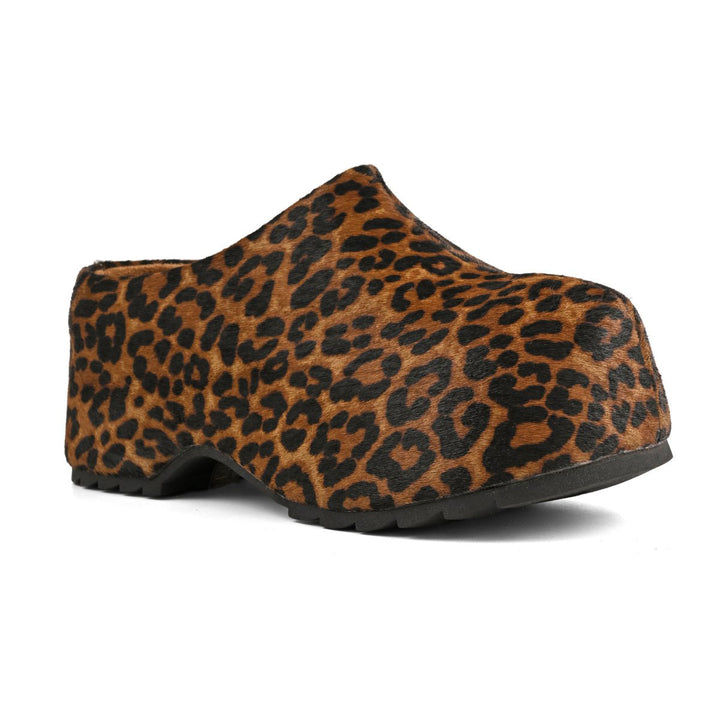 HC.SIERRA03 - Zoccolo - Colors Of California