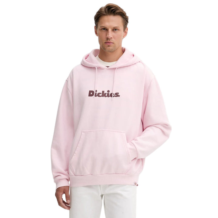 DK0A87NP - Felpe - Dickies