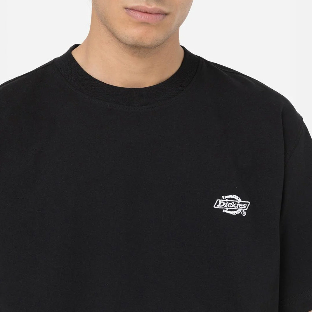 DK0A4YAI - T-Shirt e Polo - Dickies