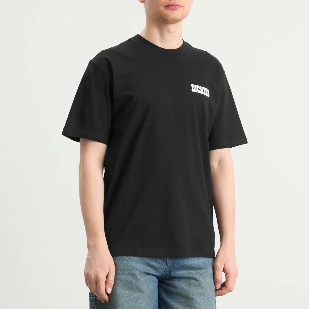 DK0A88JIBLK1 - T-Shirt e Polo - Dickies