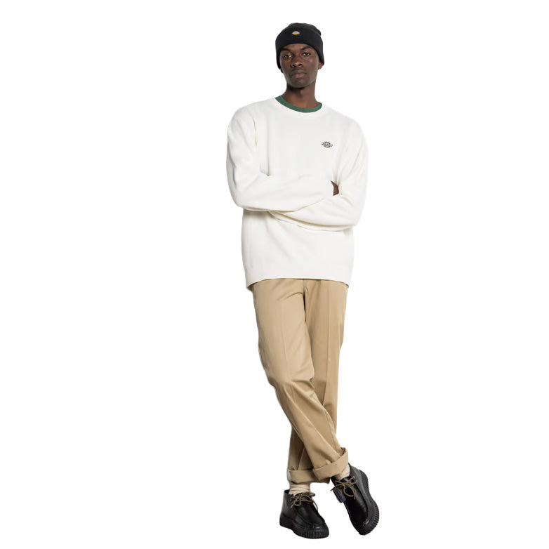 DK0A87OP - Felpe - Dickies