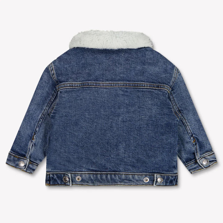 LVCKFJD02NJ - Giacche - Calvin Klein