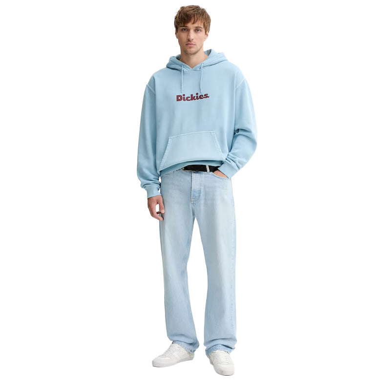 DK0A87NP - Felpe - Dickies