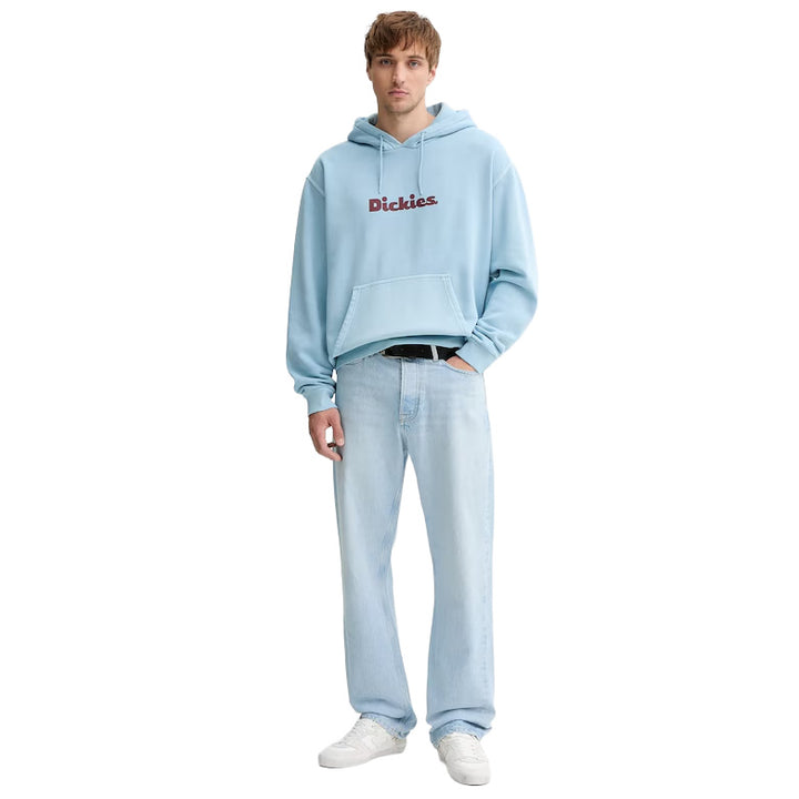 DK0A87NP - Felpe - Dickies