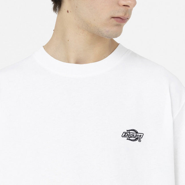 DK0A4YAI - T-Shirt e Polo - Dickies