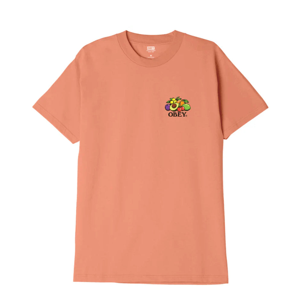 22MC0000591 - T-Shirt e Polo - Obey