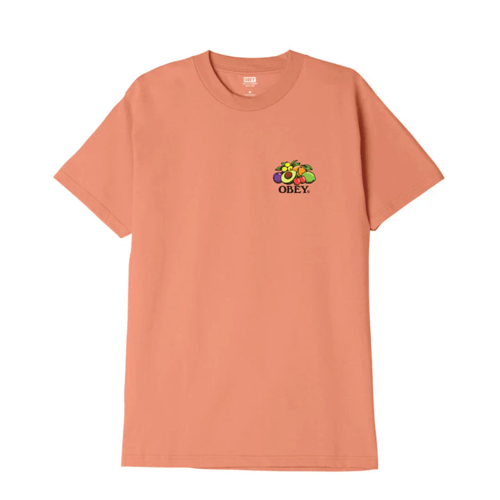 22MC0000591 - T-Shirt e Polo - Obey