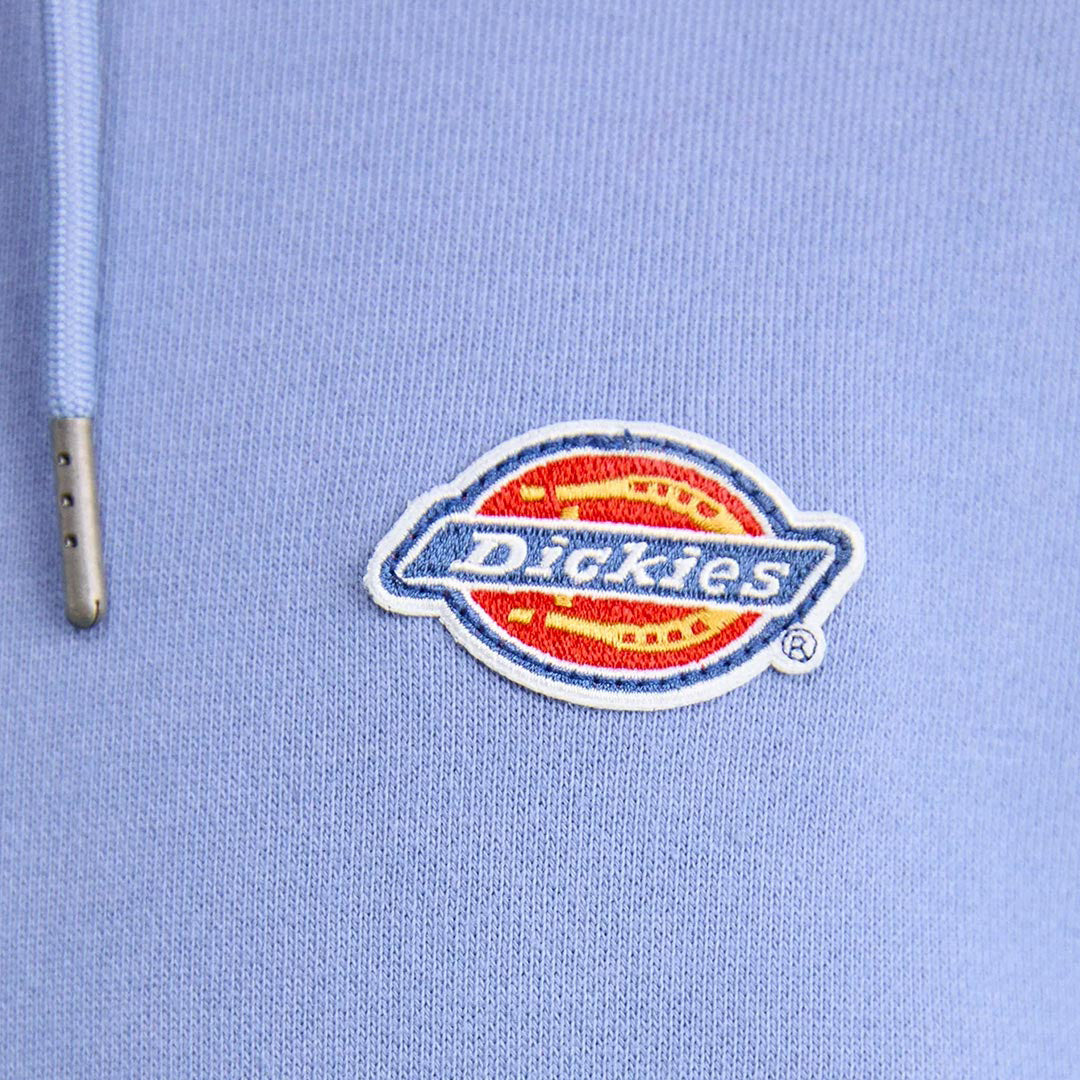 DK0A4YLY - Felpe - Dickies