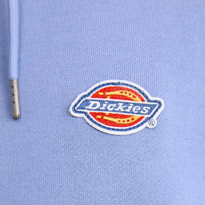 DK0A4YLY - Felpe - Dickies