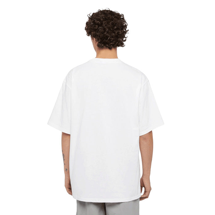 DK0A4Z4L - T-Shirt e Polo - Dickies