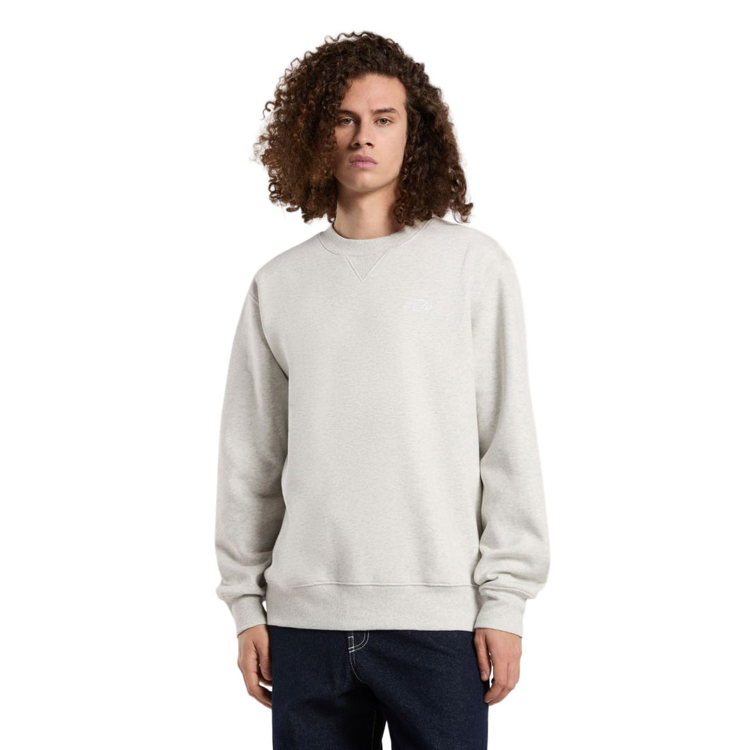 DK0A4Y6Q - Felpe - Dickies