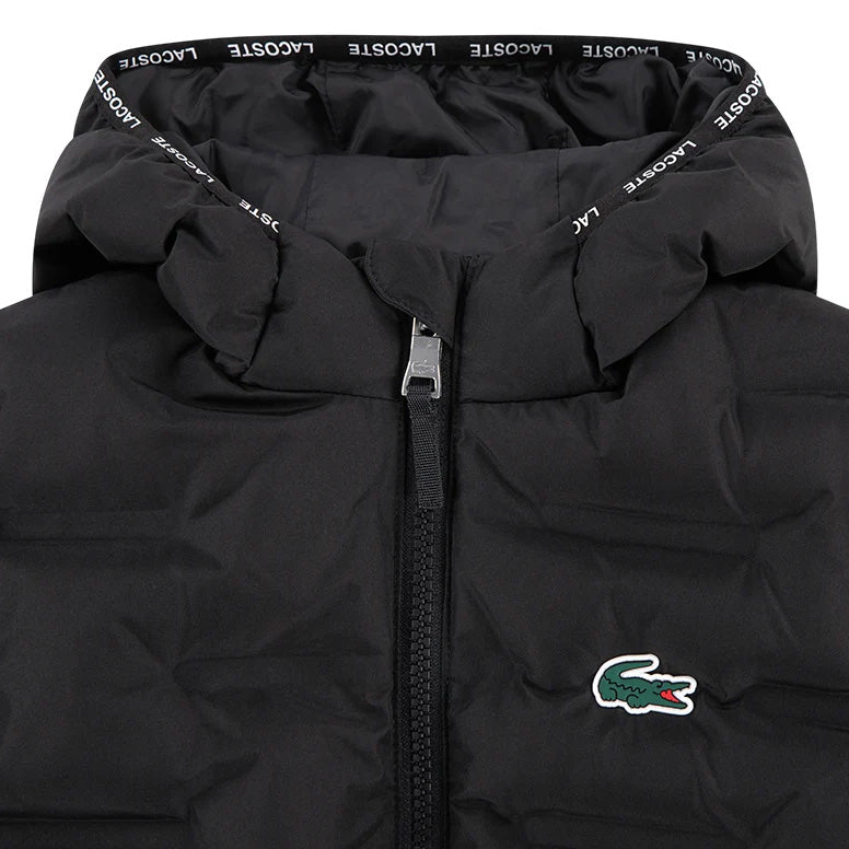 947769 - GIUBBINI - Lacoste