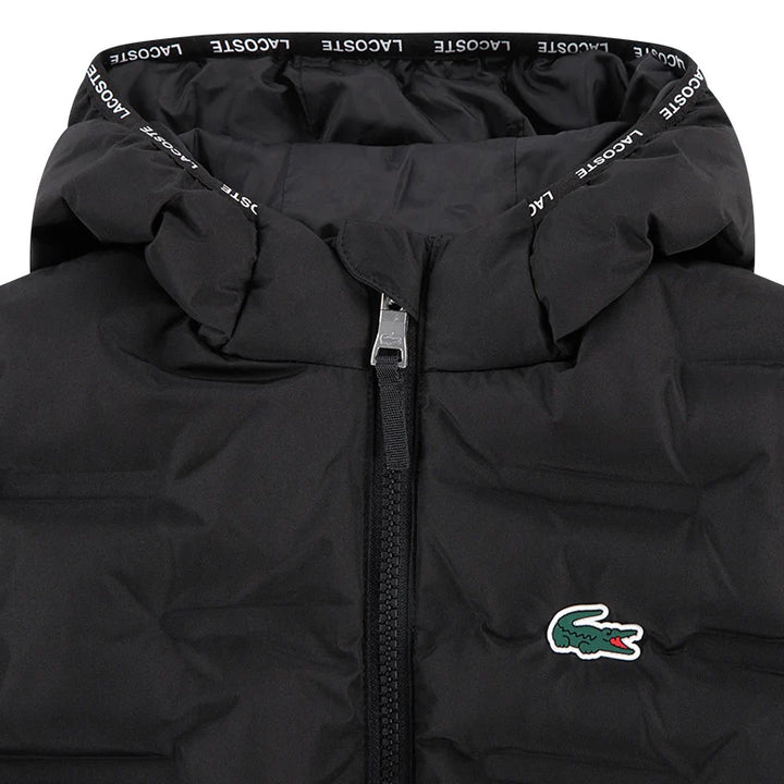 947769 - GIUBBINI - Lacoste