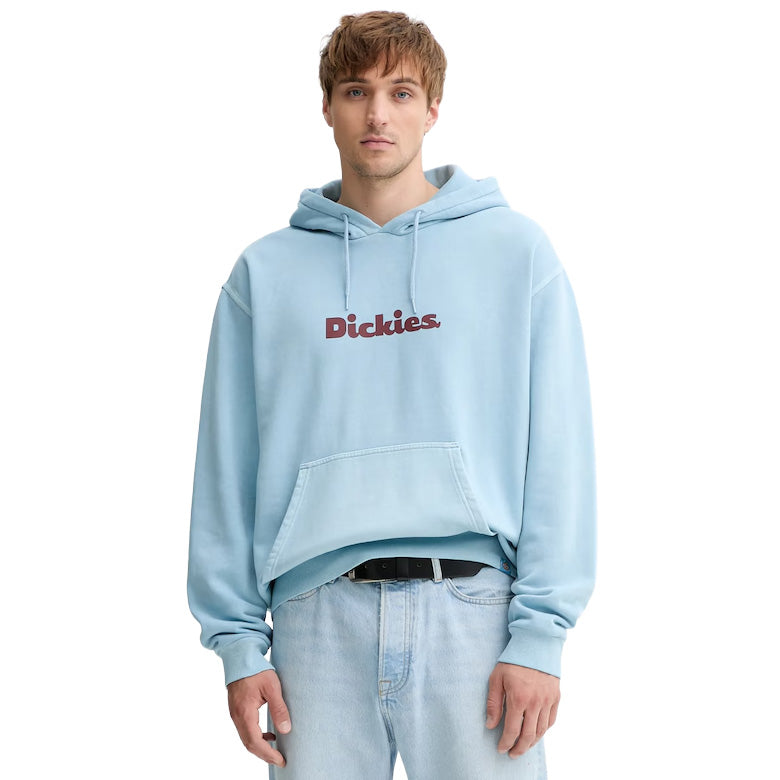 DK0A87NP - Felpe - Dickies