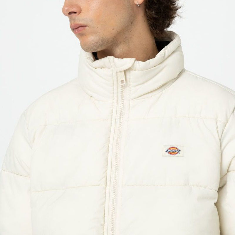 DK0A4XP2 - Jackets - Dickies