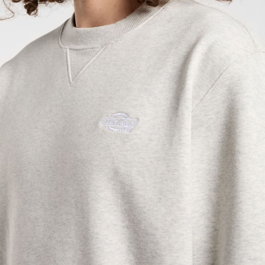 DK0A4Y6Q - Felpe - Dickies