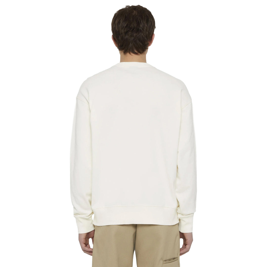 DK0A4YLZ - Felpe - Dickies