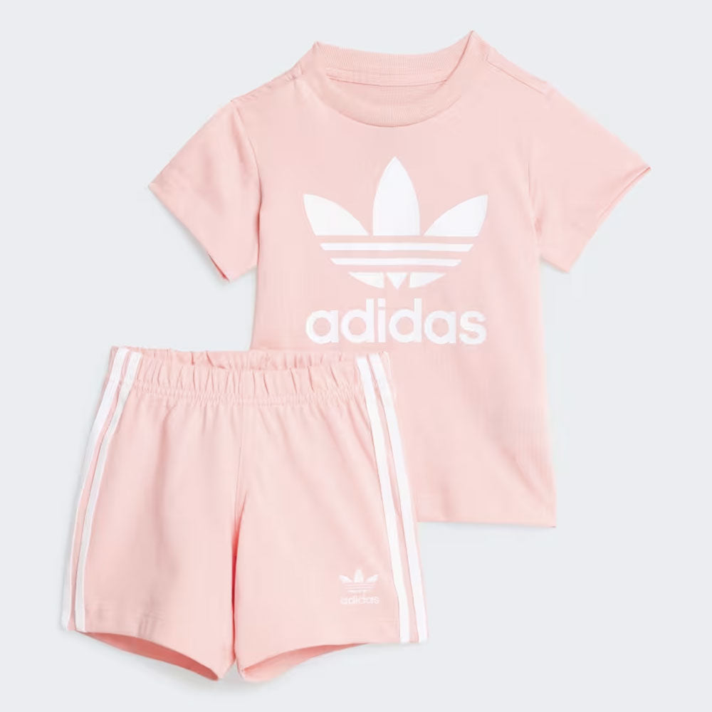 Bambini