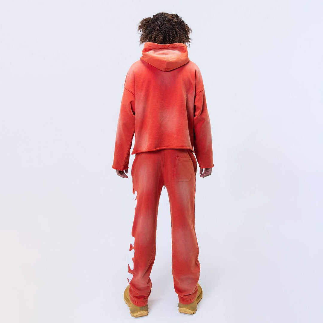 BH2989 HOODIE - FELPA - Paper Money