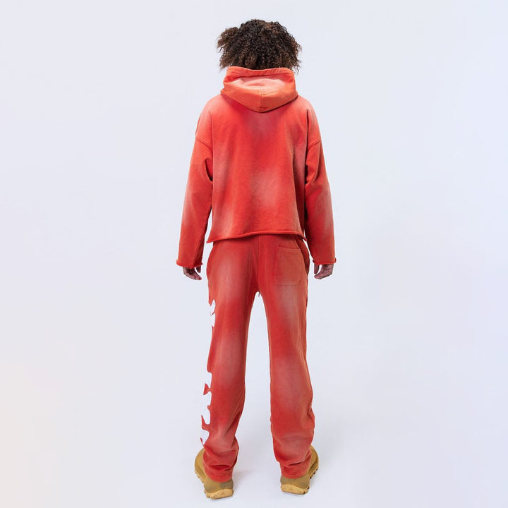 BH2989 HOODIE - FELPA - Paper Money