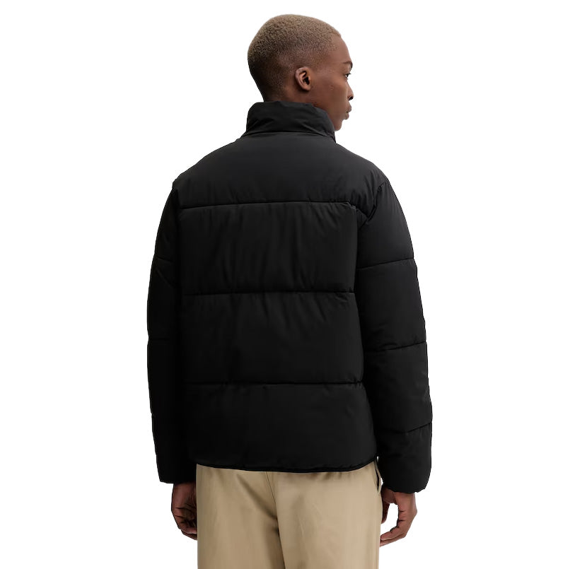 DK0A87OG - Giacche - Dickies