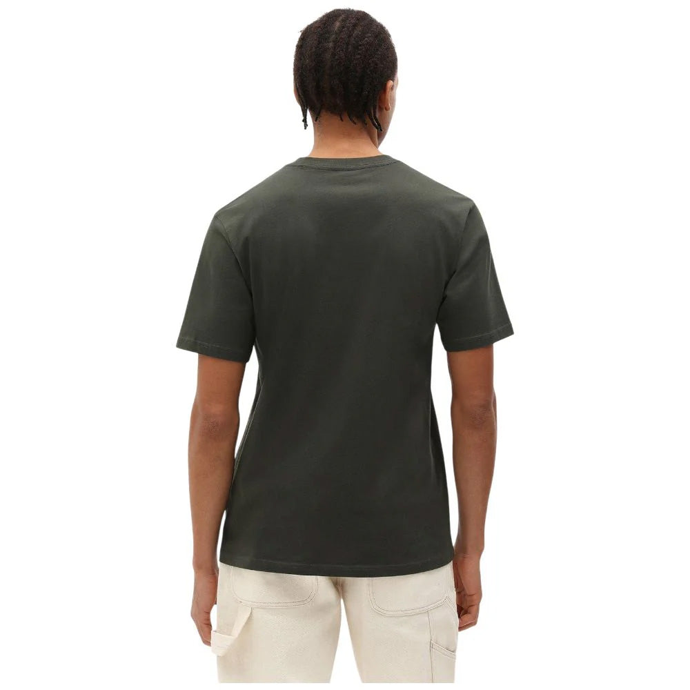 DK0A4XDBOGX1 - T-SHIRT - Dickies