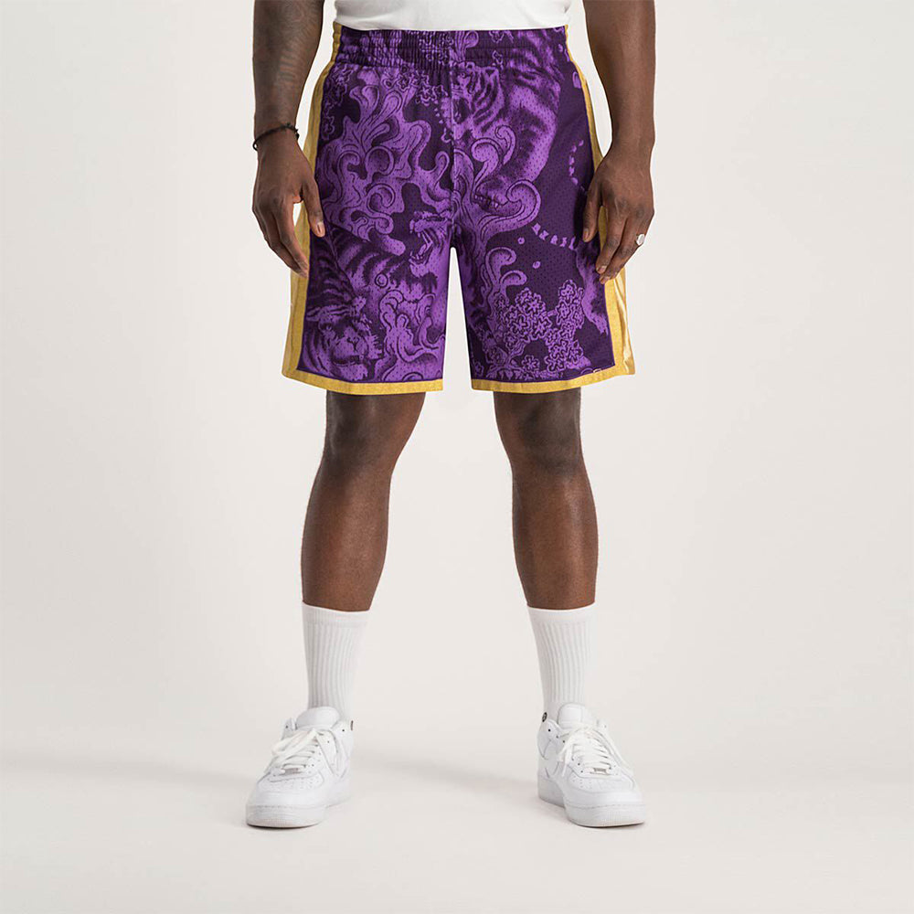 PFSW7280-LAL09PPPPURP - Pantaloncini - Mitchell & Ness
