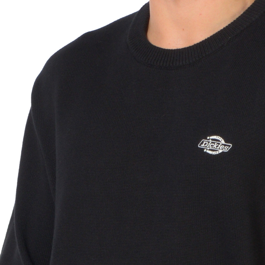 DK0A87OP - Felpe - Dickies