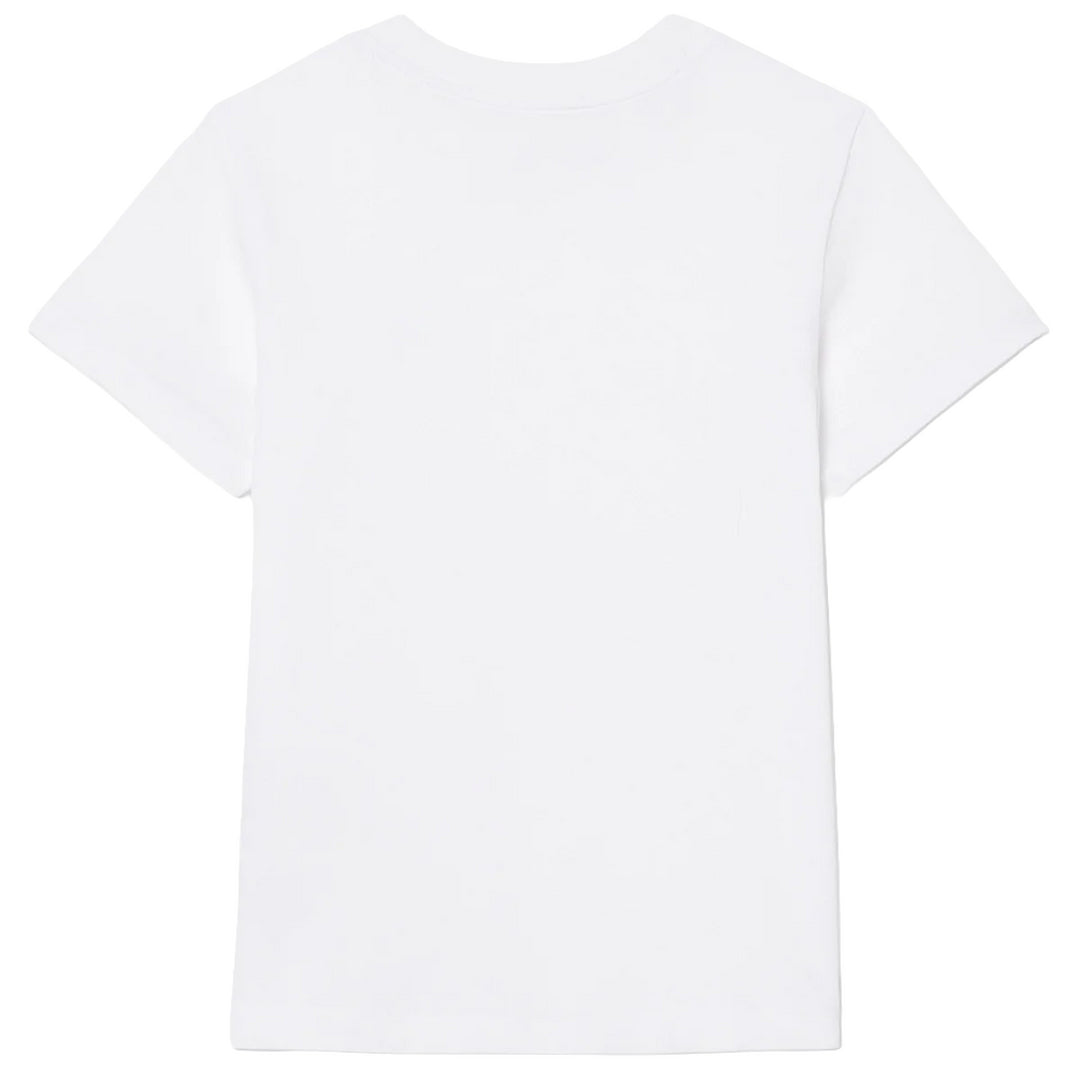 947232 - T-Shirt e Polo - Lacoste