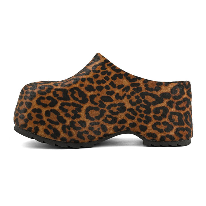 HC.SIERRA03 - Zoccolo - Colors Of California