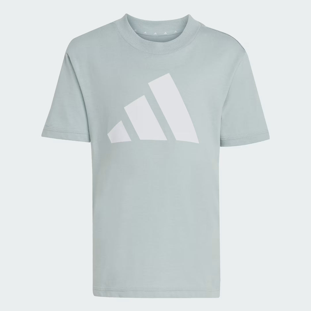 COMPLETINO ADIDAS ESSENTIALS LOGO TEE & SHORTS GRIGIO