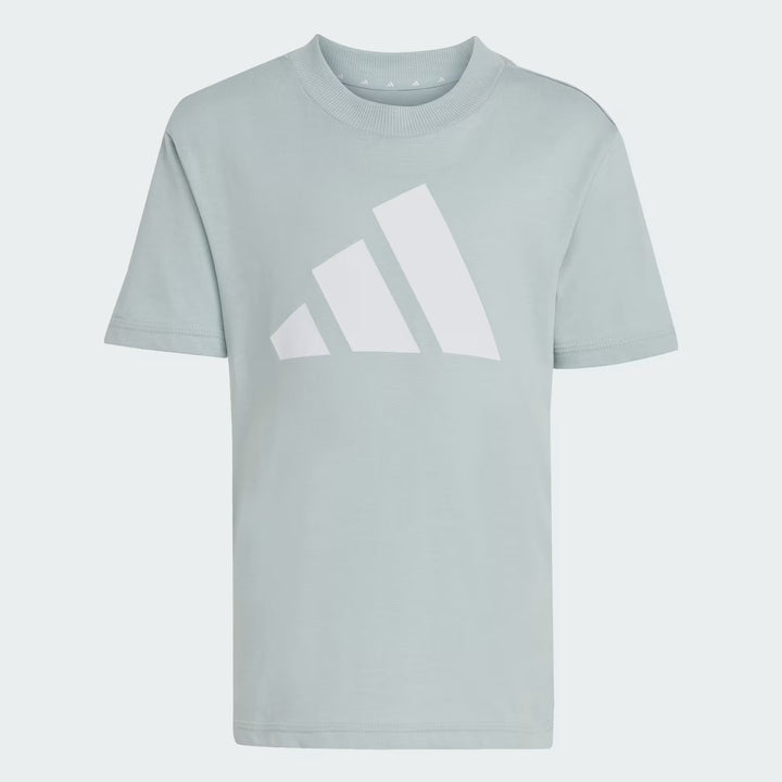 COMPLETINO ADIDAS ESSENTIALS LOGO TEE & SHORTS GRIGIO