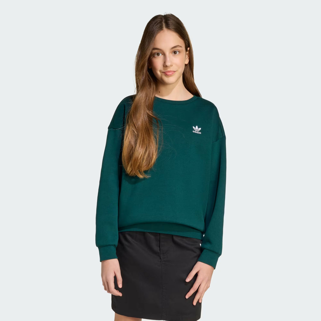 JX2751 - Felpe - Adidas